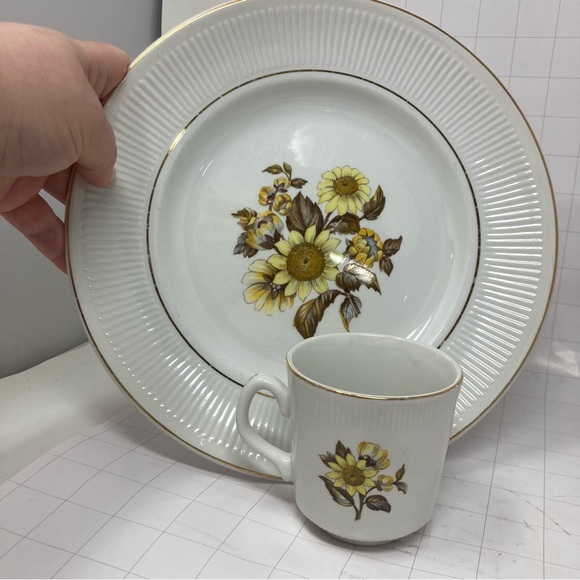 Five Royal Warwick Sunflower 10” dinner plates England sunflower print on white - Picture 8 of 8